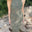 OneSize - 169cm