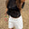 165 cm - M